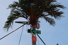 广东“竹上空翻”惊呆全网！网友：春晚安排上图片