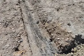 确认！高桥考古发掘，发现古河道沉积木图片