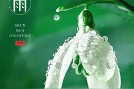 海报图品 | 谷雨诗词：留住最后一抹春色图片