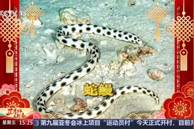 蛇蜻蜓、蛇鹫、蛇颈龙……这些动物叫“蛇”不是蛇图片