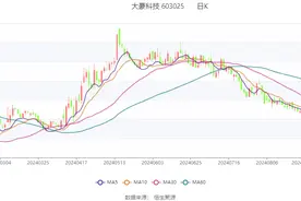 大豪科技：2024年上半年净利润3.21亿元 同比增长76.83%图片