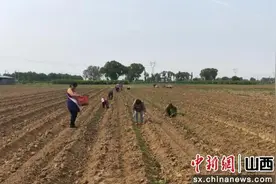 山西文水：下“土”功夫 带民共富图片