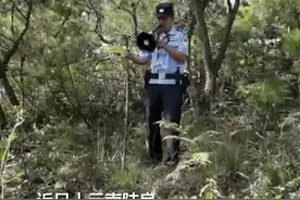 小男孩和奶奶上山捡菌不慎走失 百余人搜山8小时终于找到图片