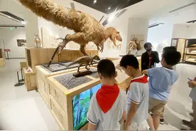 山师附小三（7）中队探秘恐龙世界图片
