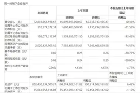 苏州218家A股上市公司上半年业绩大盘点：6家营收超百亿元 两成公司亏损图片