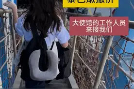 口述｜亲历黎巴嫩撤侨华人：当看到“祖国欢迎您回家”横幅，我红了眼眶图片