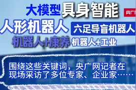 2024WRC关键词：人形机器人、具身智能、大模型……业内怎么看？图片