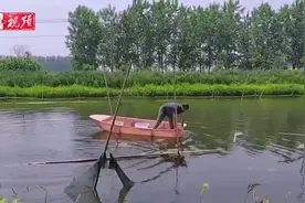 一水三收 稻虾憨“钱”景好图片