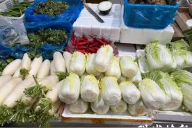 春菜争“鲜”上市，“常规款”蔬菜价格较春节前回落图片