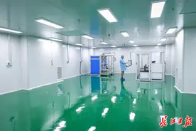 武汉涌现12万平方米连片无尘车间，吸引头部企业纷纷入驻图片