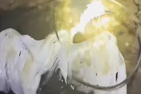 濒危动物白鹭被废弃电线缠绕溺亡 热心市民着手清理海岸垃圾图片