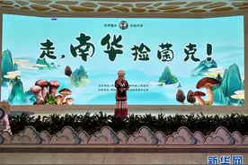 云南南华“山野小精灵” 化身富民兴县大产业图片