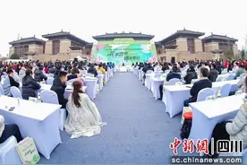 “成都四时·乐游天府”文旅促消费活动在双流启动图片