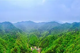 精打细磨20座最美公园！武汉打造湿地花城特色公园城市图片