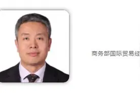 世贸组织被美西方“绑架”，发展中国家如何推动改革？图片