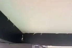 万万没想到！知名火锅店餐桌背面涂蟑螂药 2岁男孩误食中毒 心肌损害图片