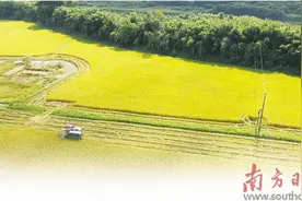 创建农业现代化示范区，新兴为什么“能”图片