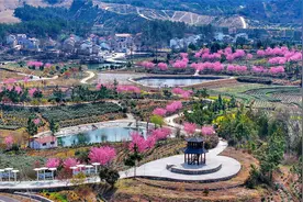 武汉新洲：最是一年春好处，旧街花朝探春风图片