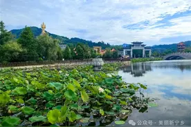 宁乡：人到沩山自然凉图片