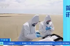 禽流感蔓延，巴西南部近千只海豹和海狮死亡图片
