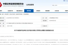 威海市泓淋电力技术被出具警示，因未及时履行审议程序和信息披露义务图片