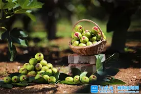 中秋月满人团圆！这个中秋，感受一抹威海团圆色图片