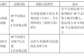 艺术类志愿如何设置？湖南2024年高考艺术类招生问答来了图片