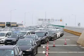 大湾区融合新里程碑！“港车北上”突破100万辆次图片