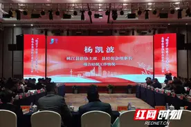 桃江：凝聚乡情 促县域经济高质量发展图片