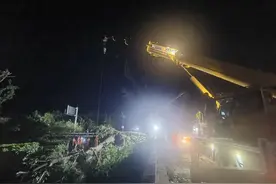 昌平78棵大树倒伏电缆受损，多部门联动连夜抢修恢复交通图片