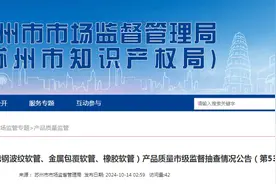 江苏省苏州市发布2024年燃气连接用软管（不锈钢波纹软管、金属包覆软管、橡胶软管）产品质量市级监督抽查情况（第53期）图片