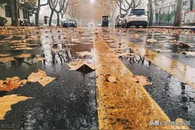 「文说公安」冬雨图片