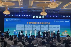 品牌价值68.01亿元！“武当山珍”区域公用品牌标识发布图片