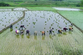 谷雨迎暴雨，四级应急响应启动图片