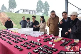 专家四川共话资阳濛溪河遗址考古研究工作图片