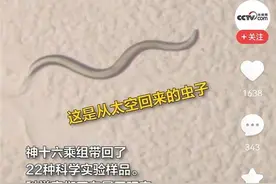 神十六乘组刚从太空带回来的“线虫”，将被用于辐射研究图片