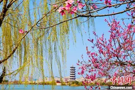 中原大地繁花盛开图片