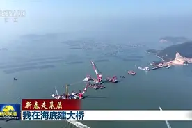 新春走基层丨在海底建大桥有多难？90后潜水员带你体验→图片
