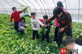 苏州相城区渭塘镇：暖心服务，凝聚“新”力量图片