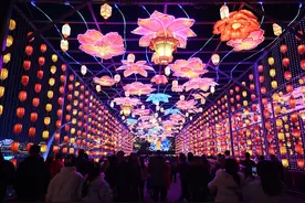 四川自贡：蛇年春节临近 璀璨灯会醉游人图片