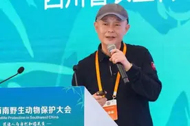 四川“隐藏”特产鱼子酱这样炼成：鱼只喝冰川水，全麻B超体检，还能出省“度假”图片