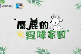 科普的力量丨麋鹿的“趣味家园”图片