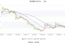 林州重机：2024年上半年净利润9627.83万元 同比增长53.72%图片