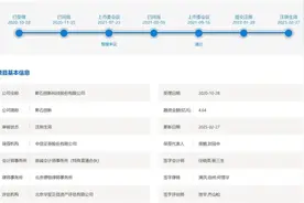 销量全球第一，年入超50亿元，这个企业为何IPO卡壳？图片