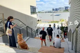 火了！上海新晋网红街区，被称“小阿那亚”！太太太松弛了图片