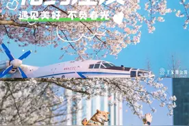 盛放！樱开江汉，邂逅春日浪漫图片