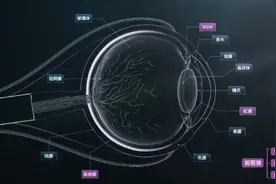 纳入医保，一剂省下5万多元！这种药落地泉州爱尔眼科图片