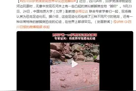 四川10岁男孩发现世界罕见恐龙脚印图片