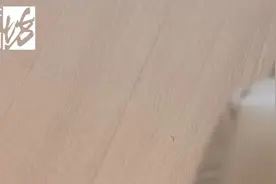 楼上开地暖，楼下屋顶“发烧”.....最新进展！图片