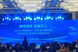 宁夏聚焦数据要素开发应用 这场全国大赛为打造“中国算力之都”凝聚新动能图片